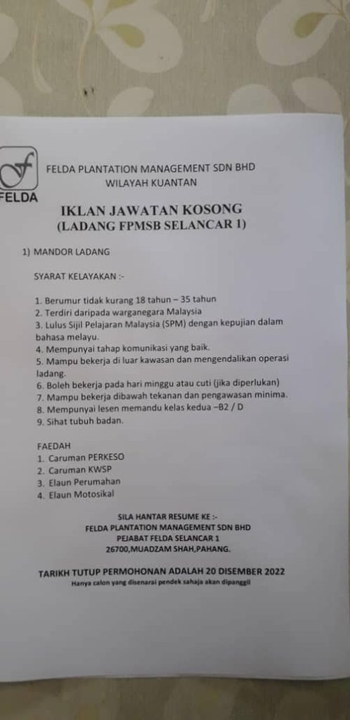 Iklan Jawatan Felda Plantation Management Sdn Bhd Jobs Hub