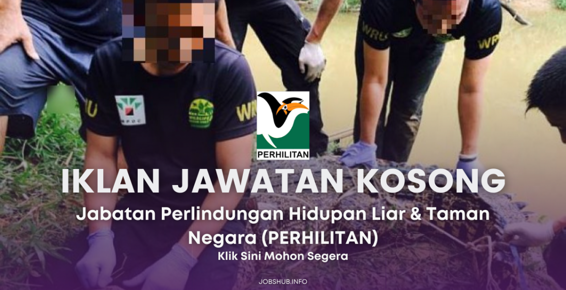 Jawatan Kosong Jabatan Perlindungan Hidupan Liar Dan Taman Negara Perhilitan Jobs Hub 