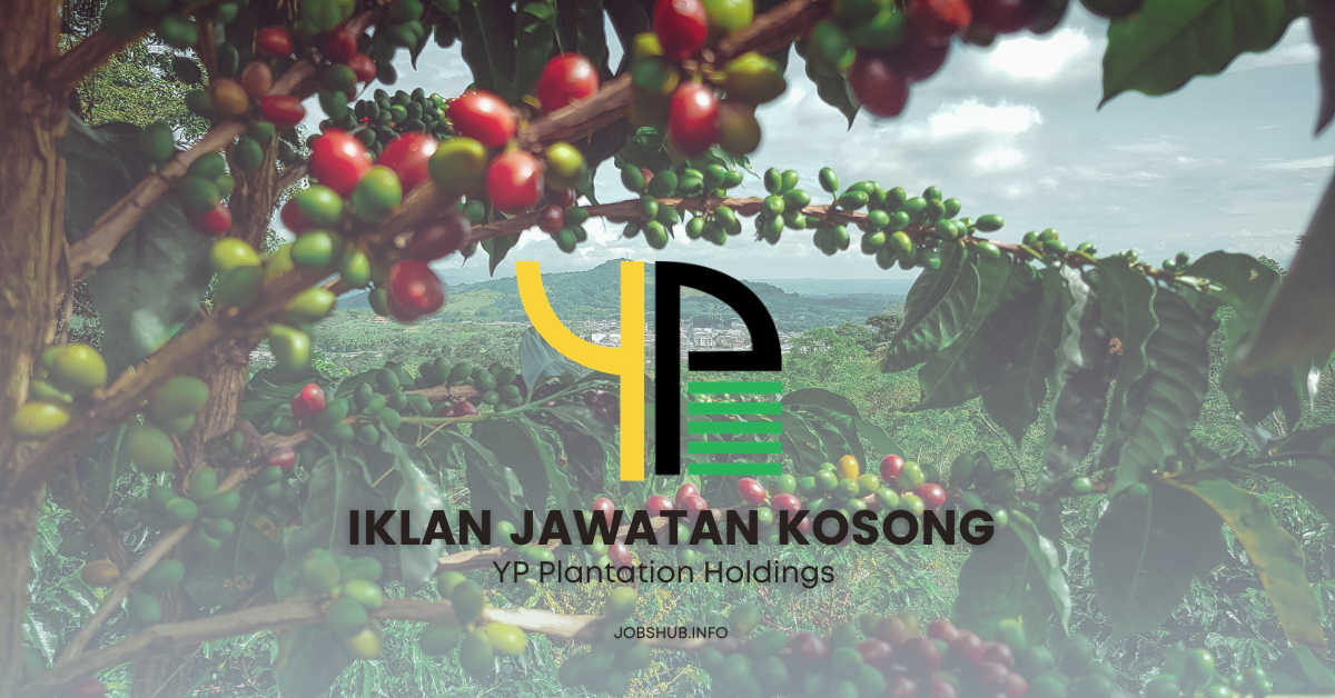 YP Plantation Holdings